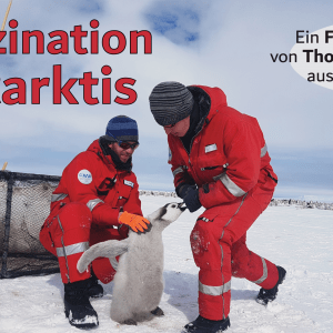 Faszination Antarktis